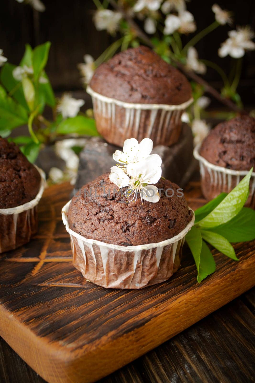 Double chocolate muffins covered with melted chocolate on a wooden background with cherry flowers, vertical image
