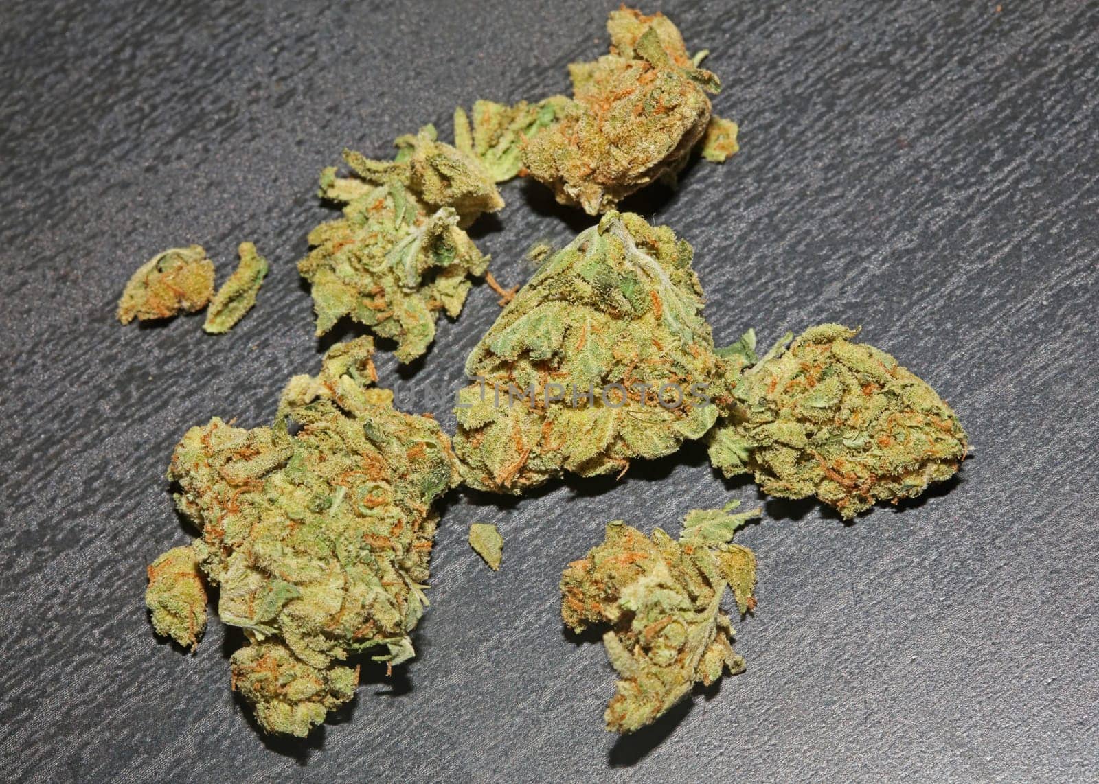 Marihuana buds close up in black background pure medical cbd super lemon haze cannabis sativa family cannabaceae big size high quality print