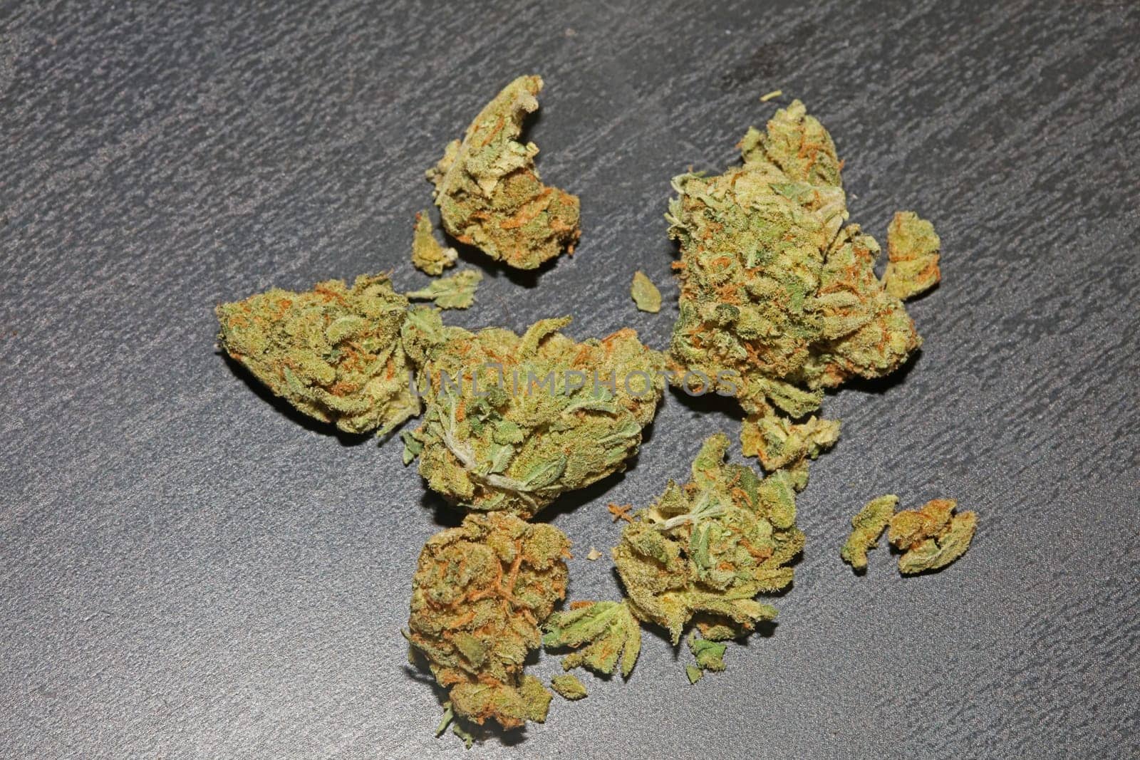Marihuana buds close up in black background pure medical cbd super lemon haze cannabis sativa family cannabaceae big size high quality print