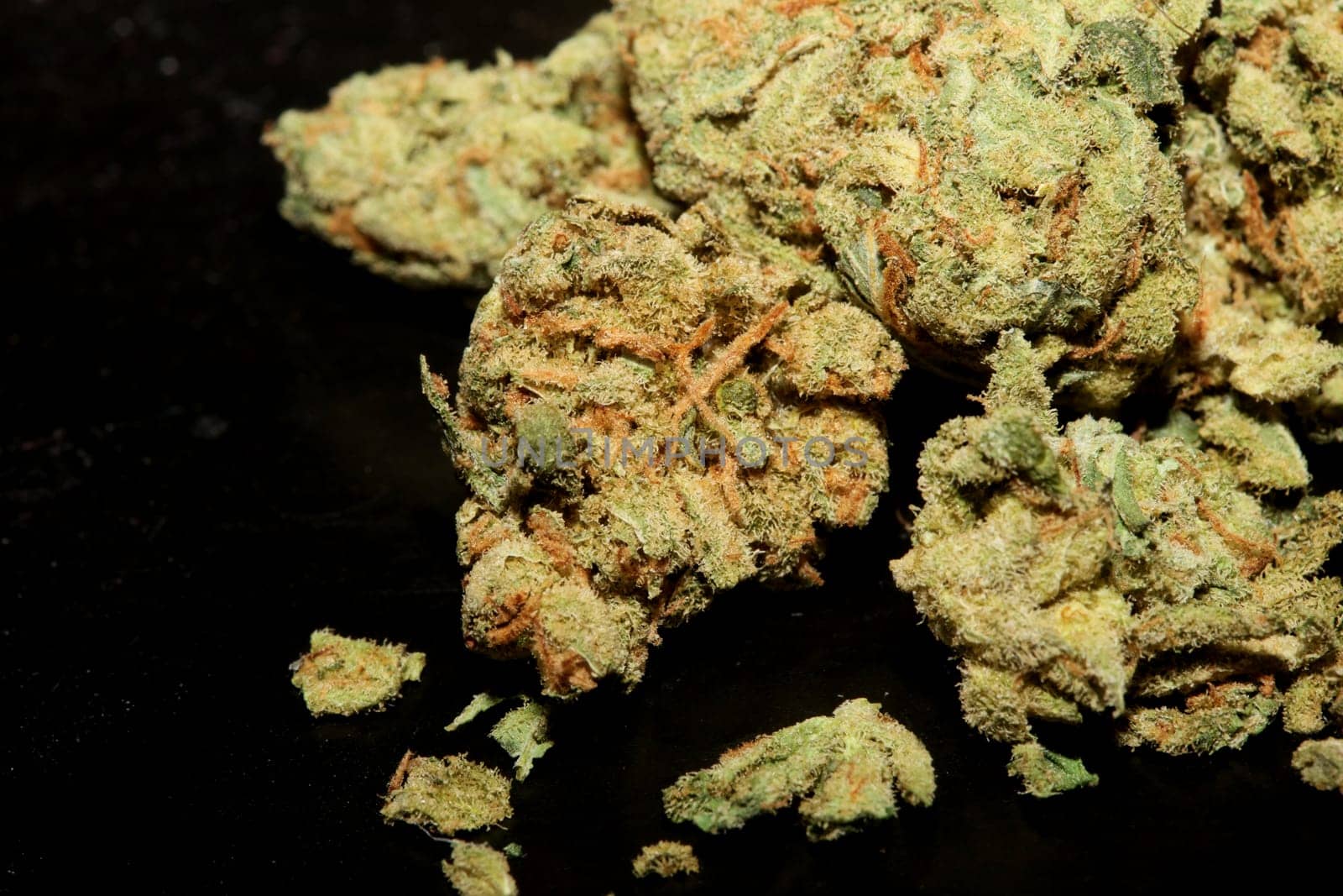 Marihuana buds close up in black background pure medical cbd super lemon haze cannabis sativa family cannabaceae big size high quality print