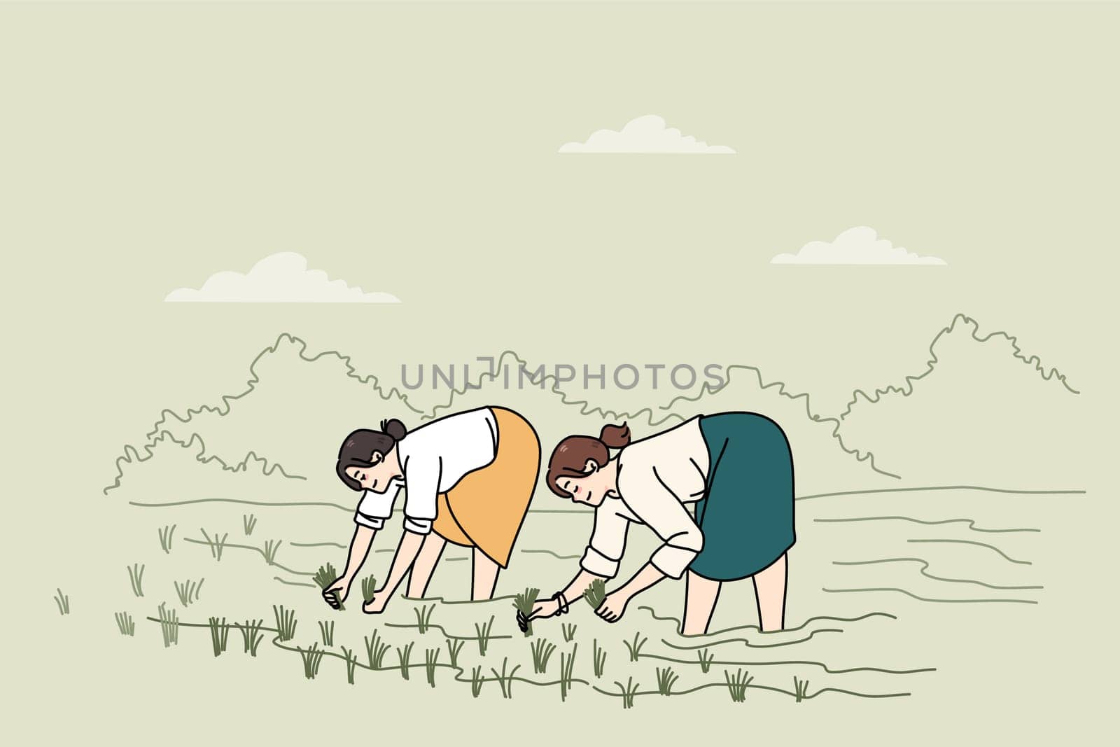 Women standing in water on plantation working on rice field. Female employees farming on organic farmland. Agriculture and manual labor. Vector illustration.