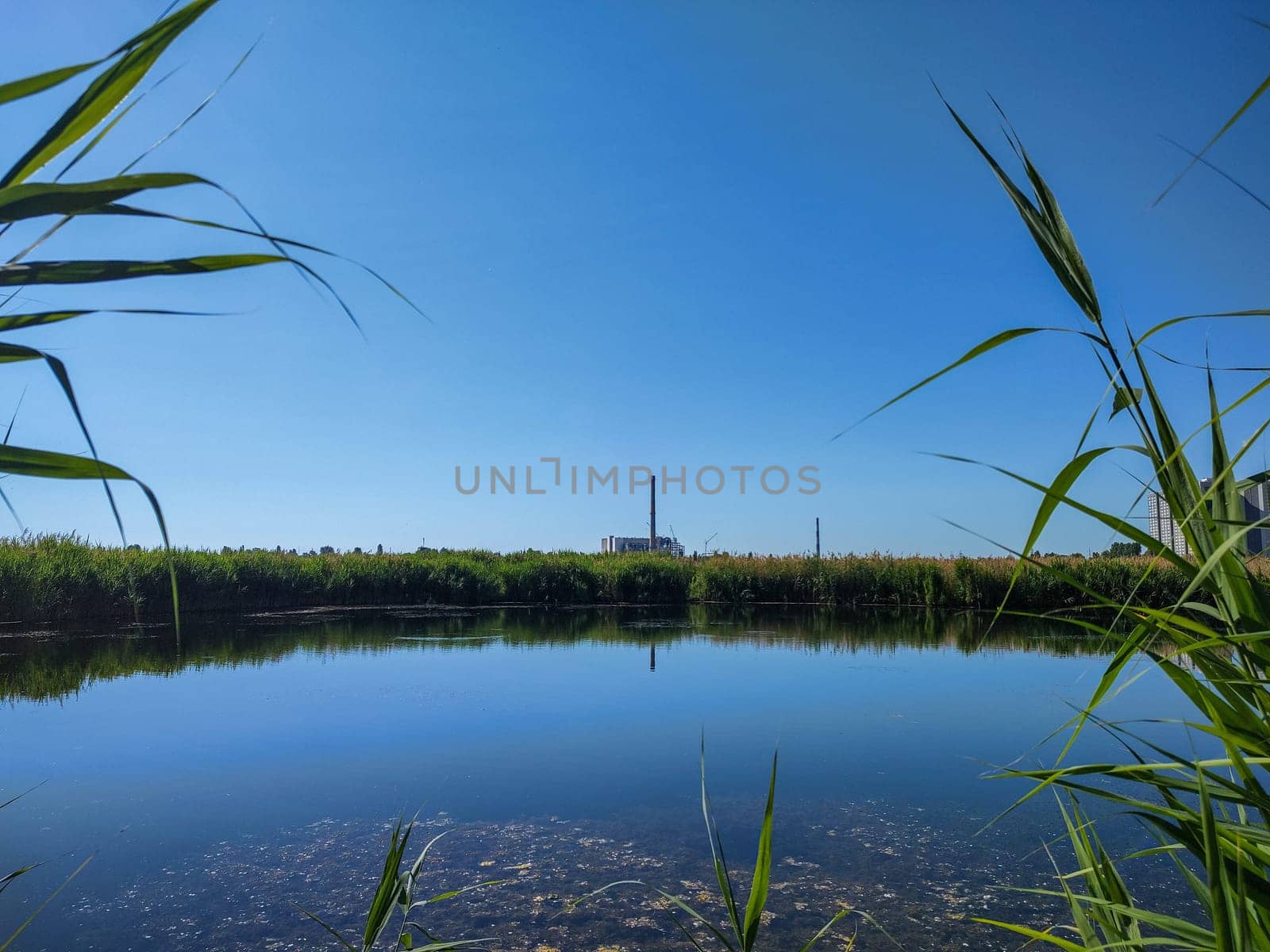 Industrial plant with a chimney on the shore of the reservoir.  Production enterprise.  Freshwater lake.  Water surface.  Green reed.  Heavenly horizon.  Coastline.  Fisherman's place.  Ecology.