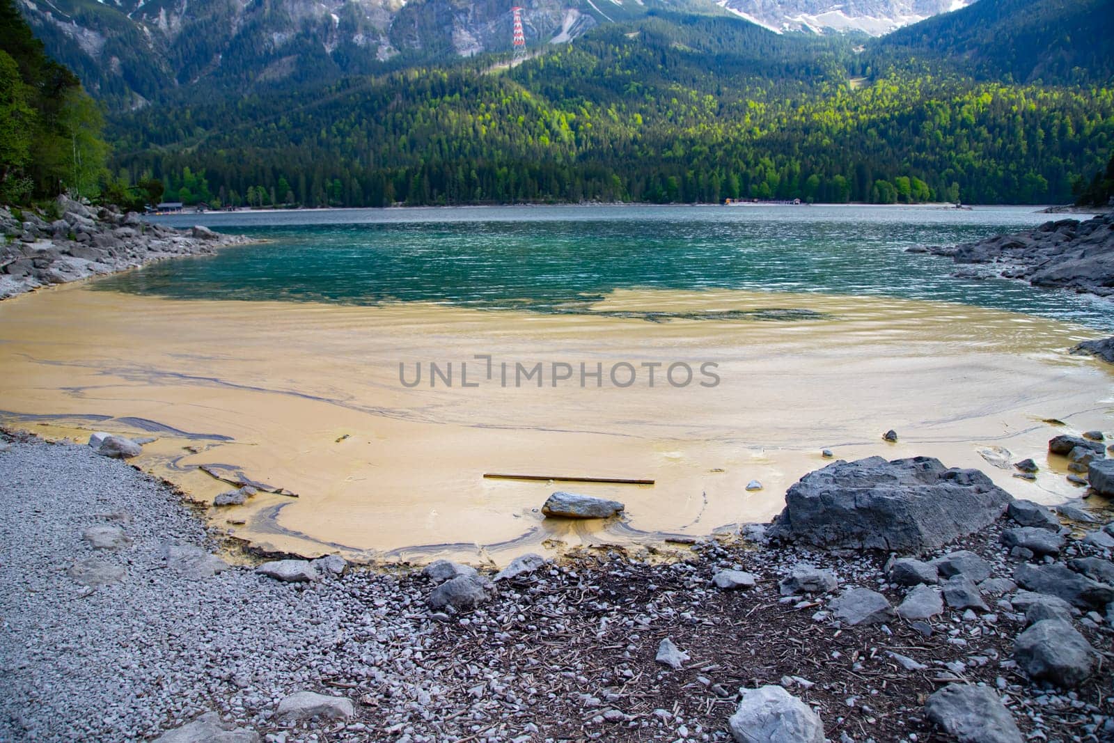 Yellow pollen in the water on the lake. Allergic season