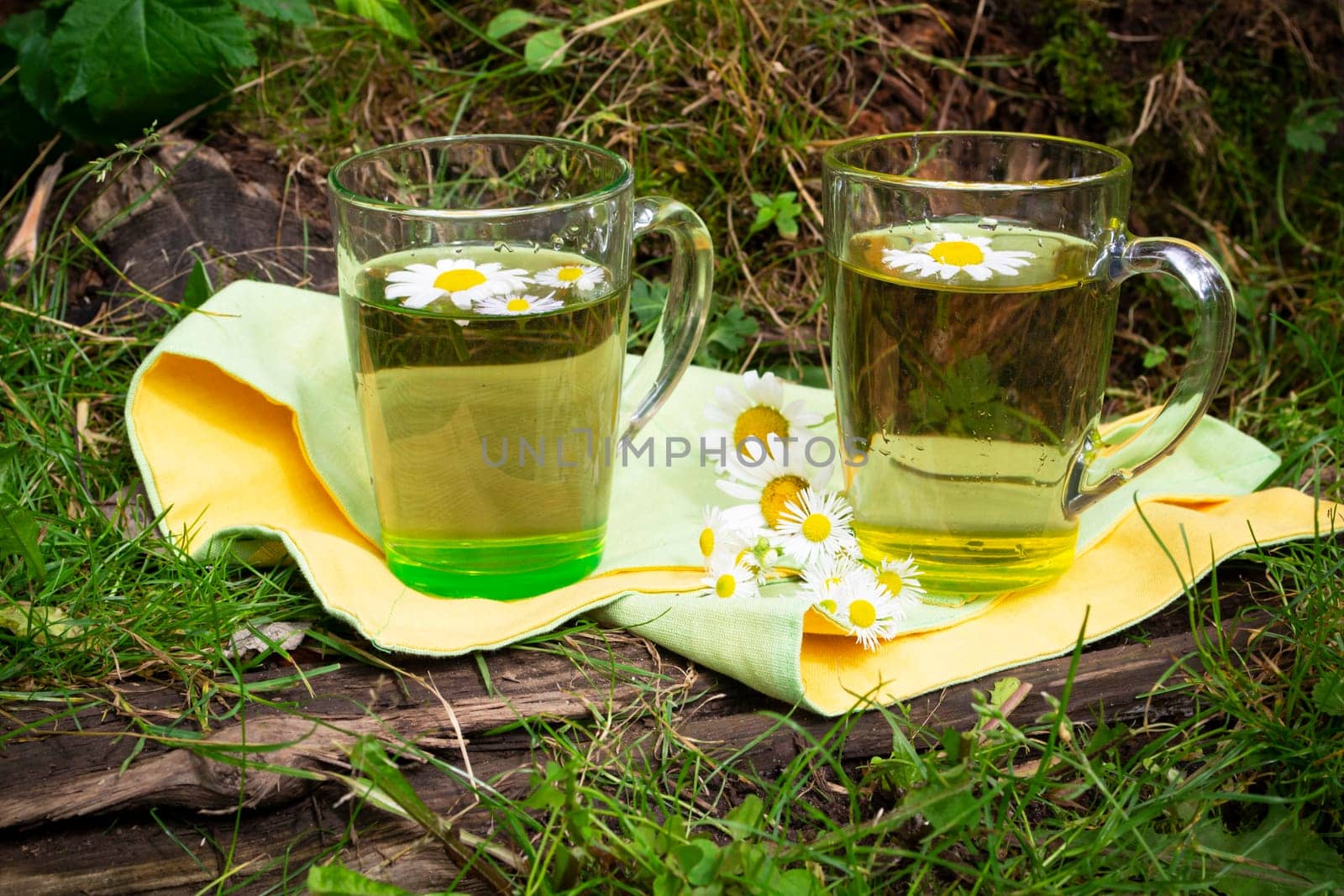 Glass of herbal chamomile tea and chamomile flowers in old garden. Sunny summer day