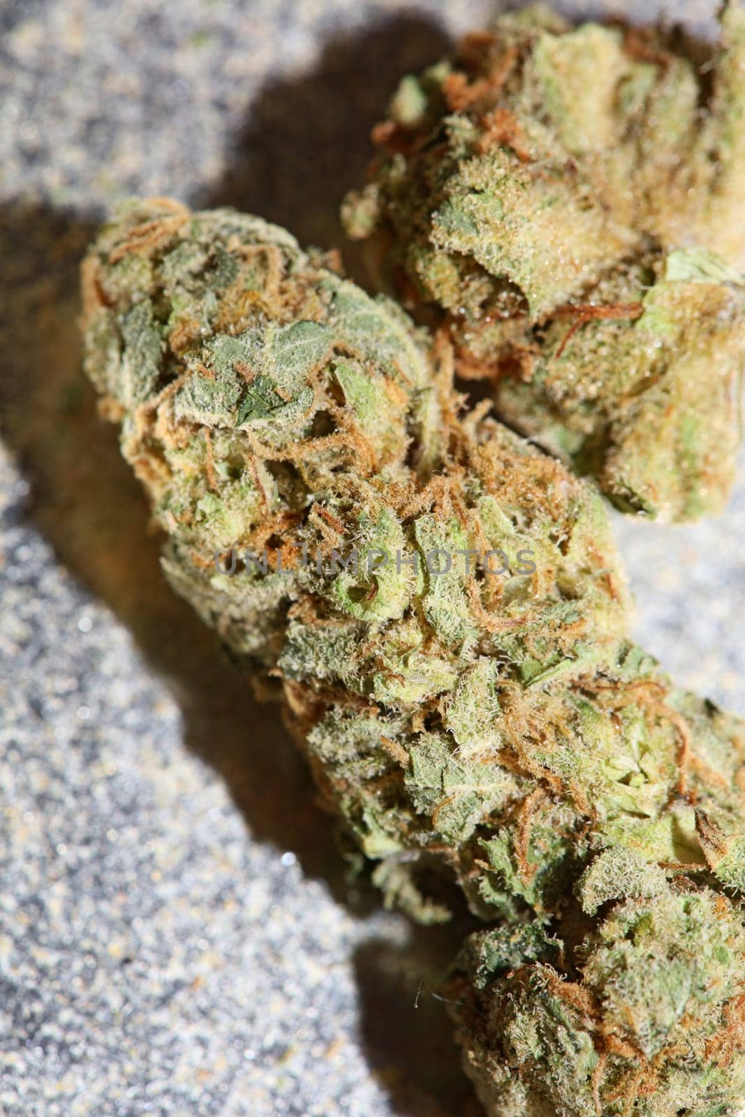 Medical cannabis super lemon haze skank marihuana macro modern background high quality print