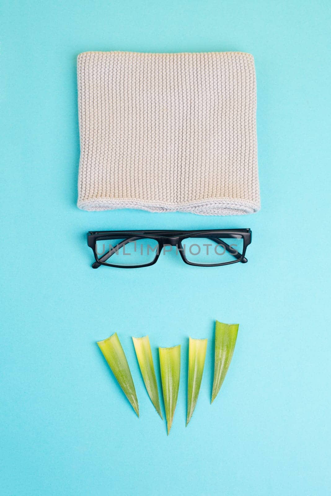 Human face of a man made with a wool hat, glasses and leaves as a beard, funny minimalist portrait, eco freak lifestyle, nerd