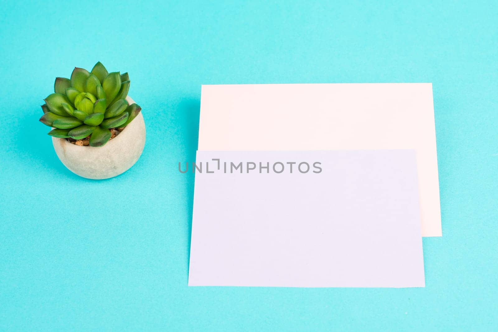 Empty paper with a cactus textured background, brainstorming for new ideas, writing a message, home office desk