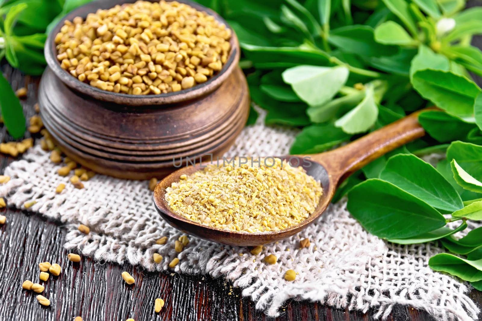 Ground fenugreek in a spoon and seeds in a bowl on a burlap napkin with green leaves against dark wooden board