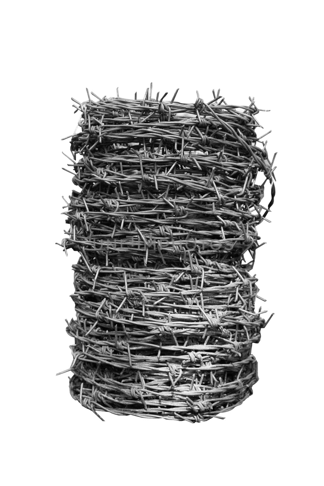 front view closeup of large roll of steel barbed wire used for fence construction  isolated on white background