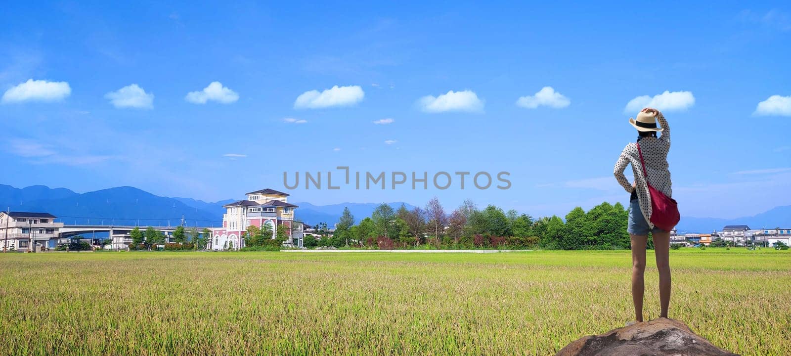 The Landscape View Of Beautiful Paddy Field With Sunrise At Brown Avenue , Chishang, Taitung, Taiwan