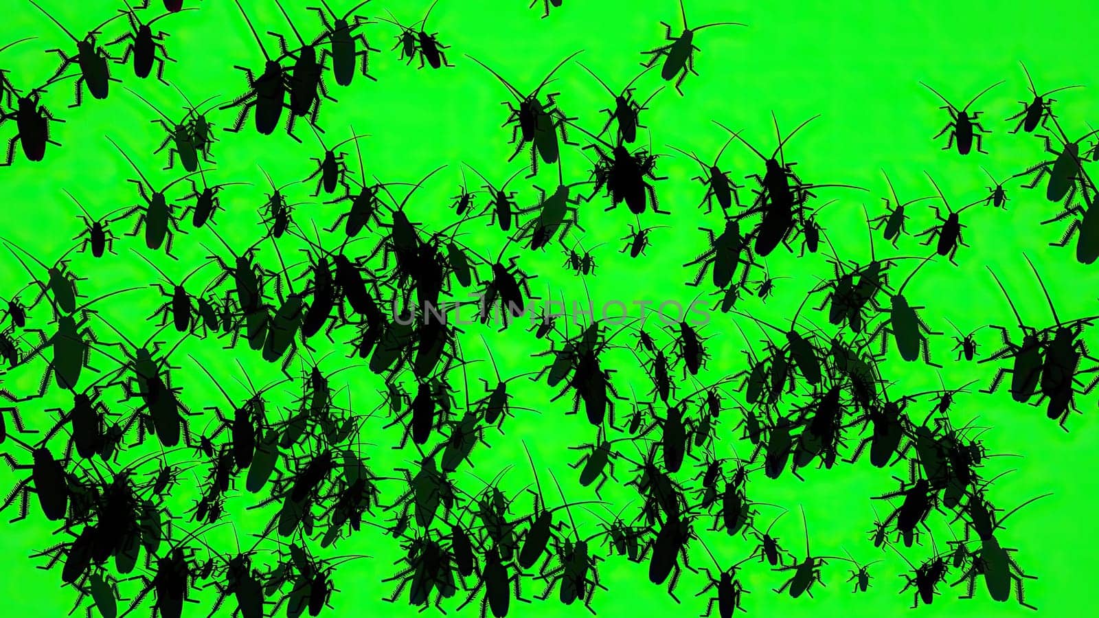Bugs On Green Screen Silhouette,Bugs On Green Screen Silhouette
