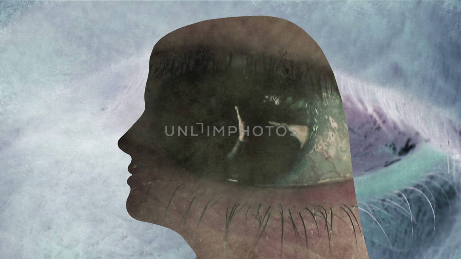 Surreal  Portrait of Woman silhouette,Surreal  Portrait of Woman silhouette