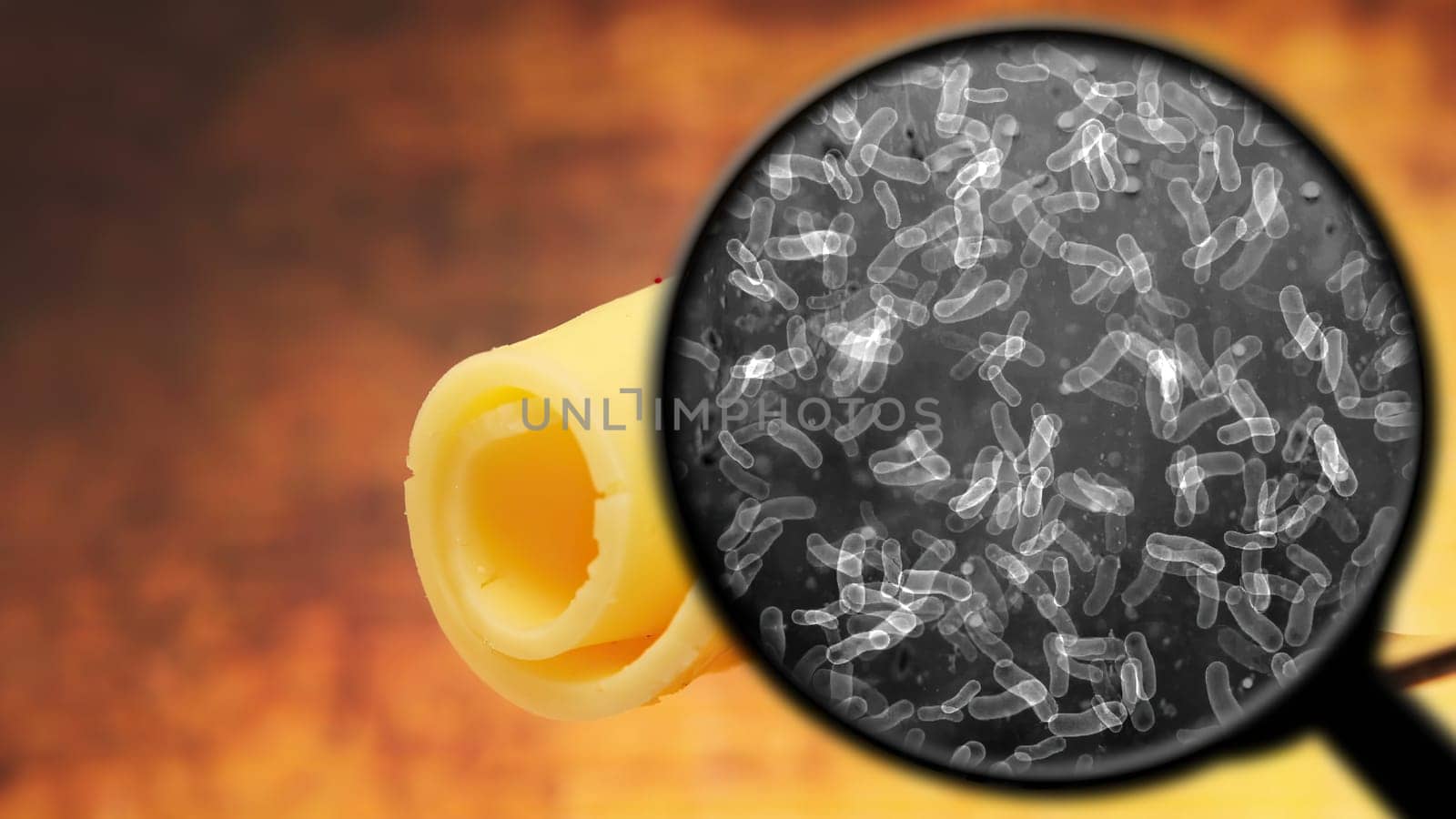 Searching for bacteria in food,Searching for bacteria in food