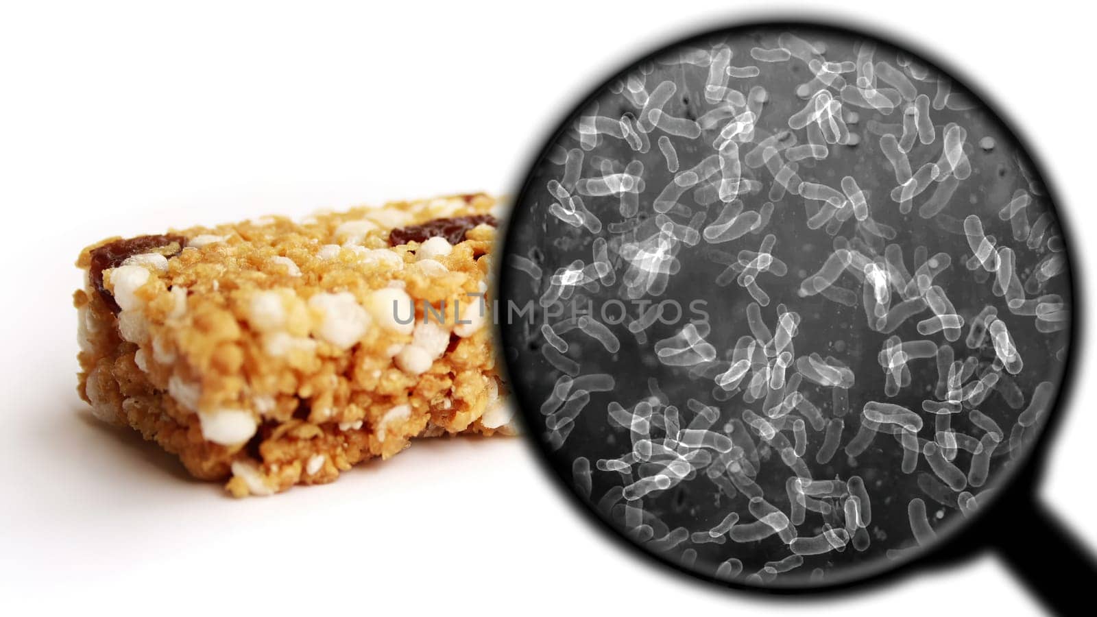 Searching for bacteria in food,Searching for bacteria in food
