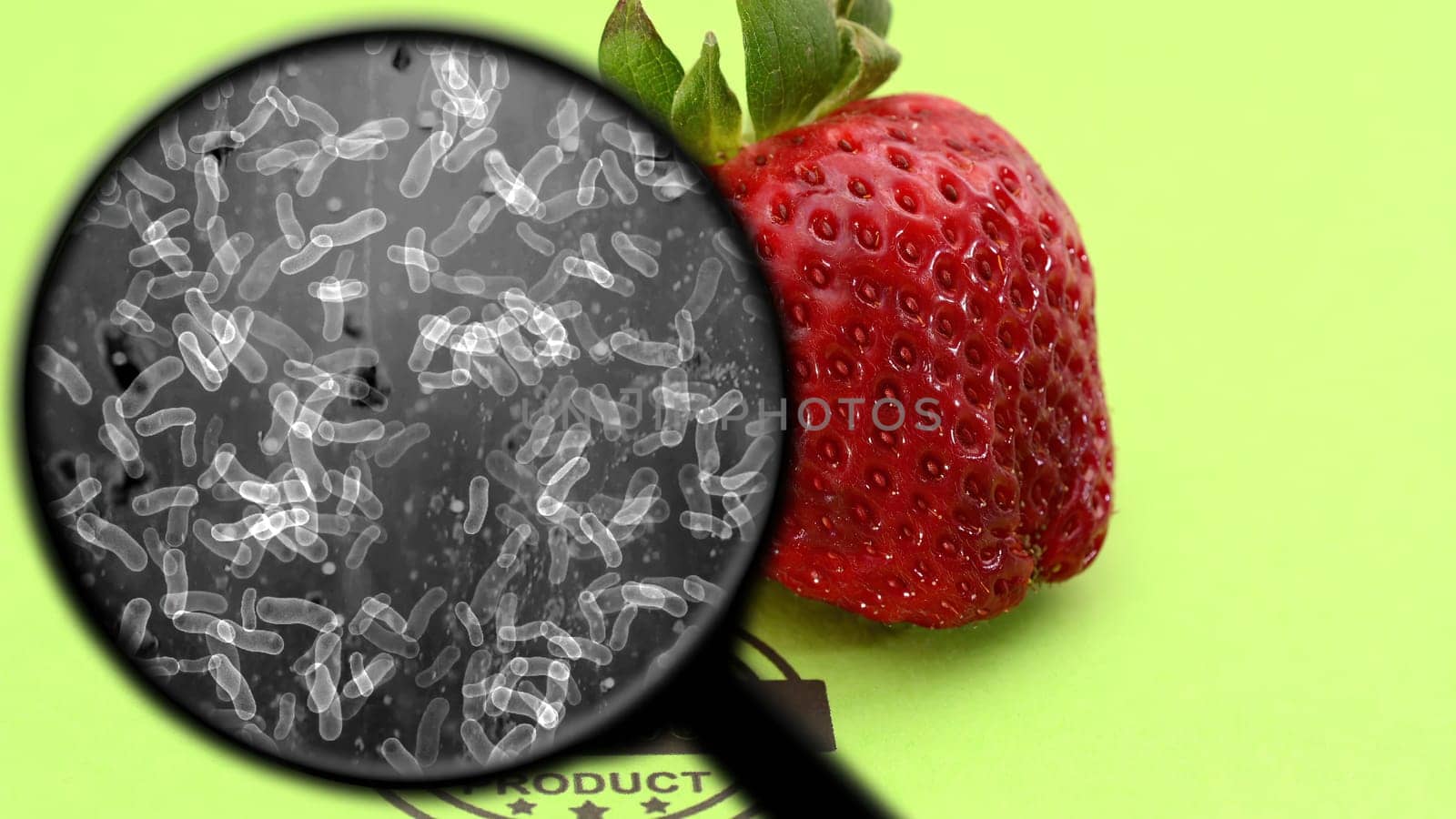 Searching for bacteria in organic fruit,Searching for bacteria in organic fruit