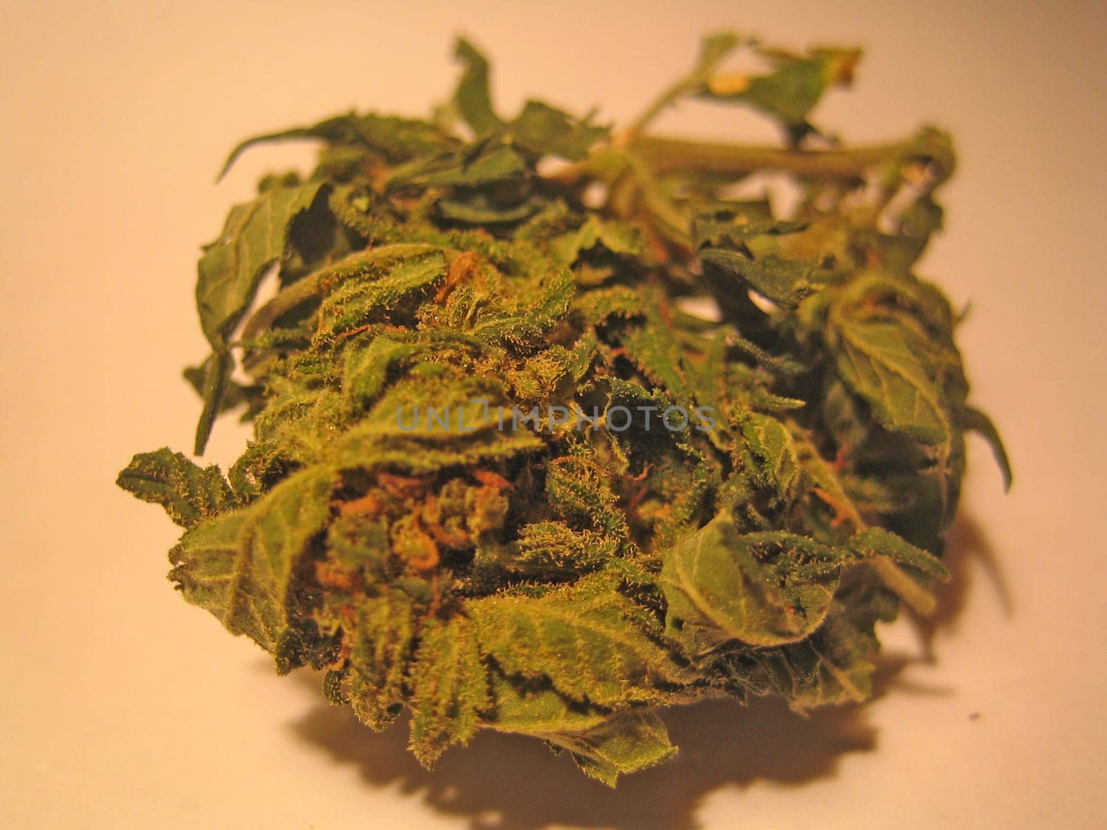 Cannabis retro in creta island hippie super lemon haze vintage illegal background prints