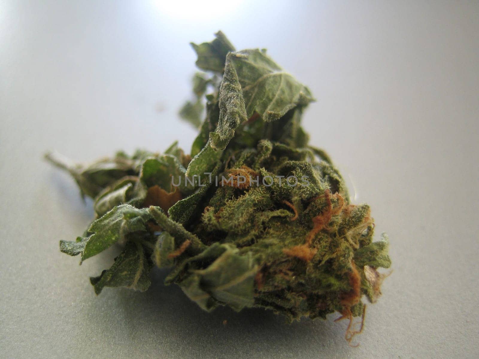 Cannabis retro in creta island hippie super lemon haze vintage illegal background prints