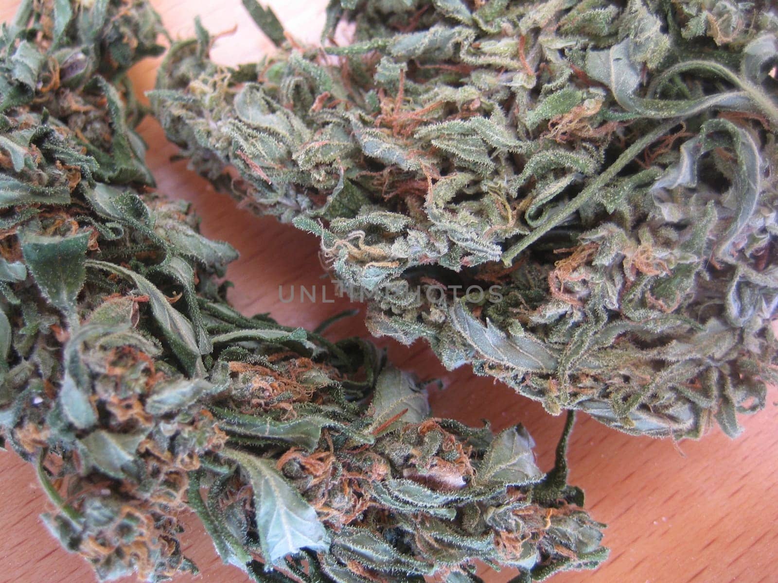 Cannabis retro in creta island hippie super lemon haze vintage illegal background prints