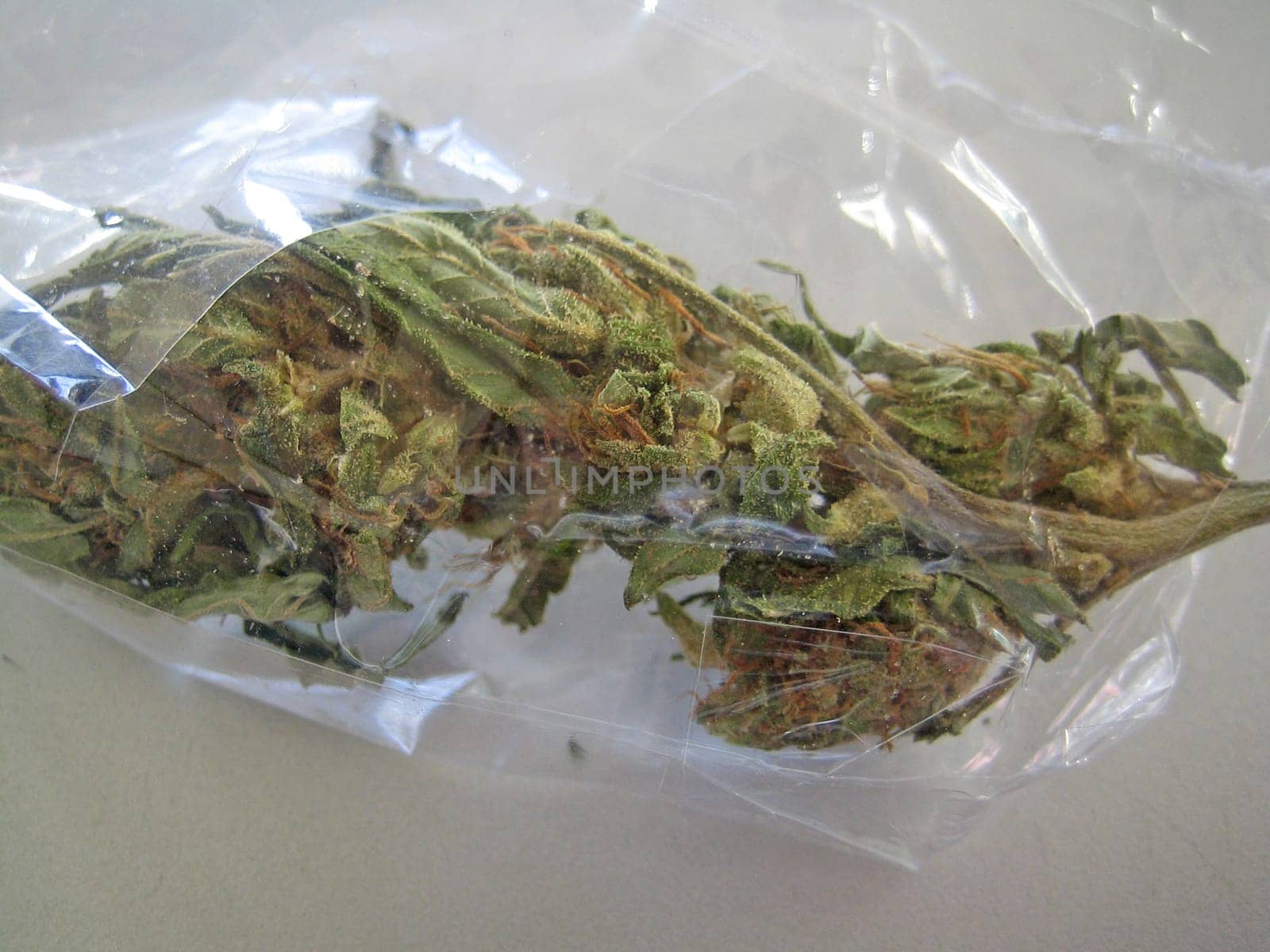 Cannabis retro in creta island hippie super lemon haze vintage illegal background prints