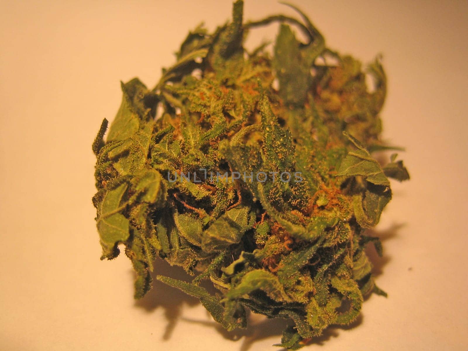 Cannabis retro in creta island hippie super lemon haze vintage illegal background prints