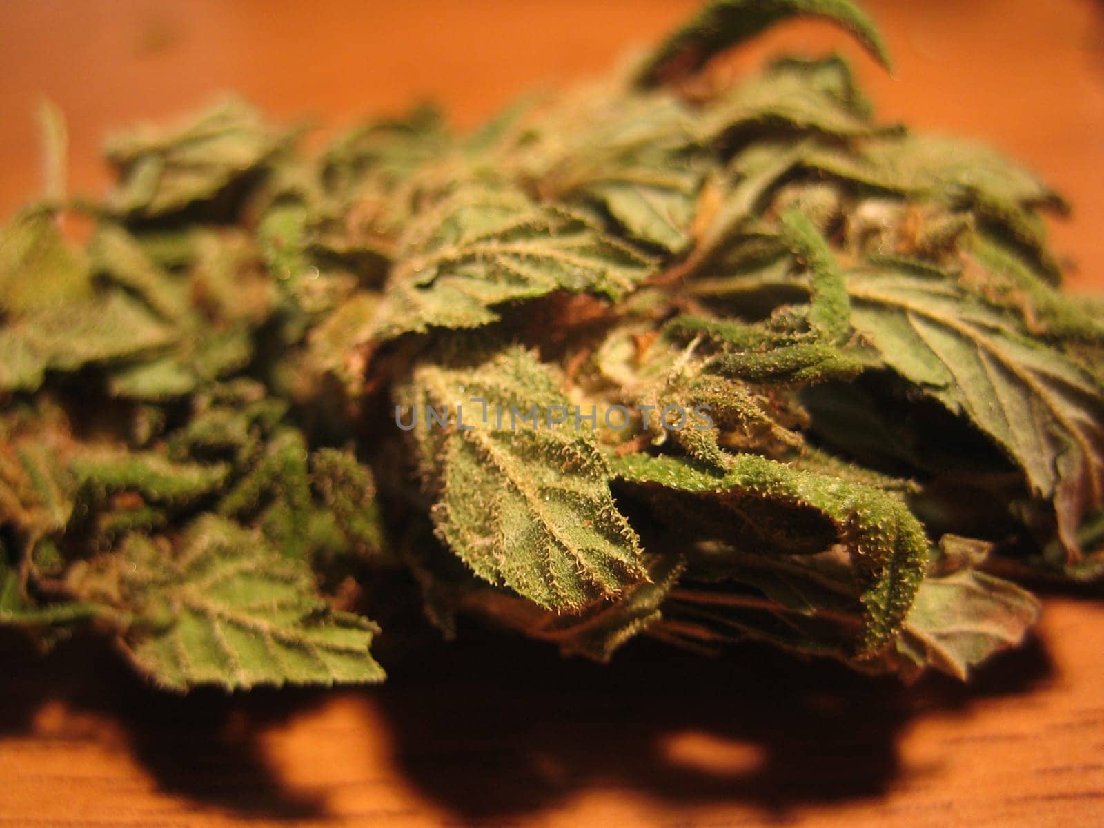 Cannabis retro in creta island hippie super lemon haze vintage illegal background prints