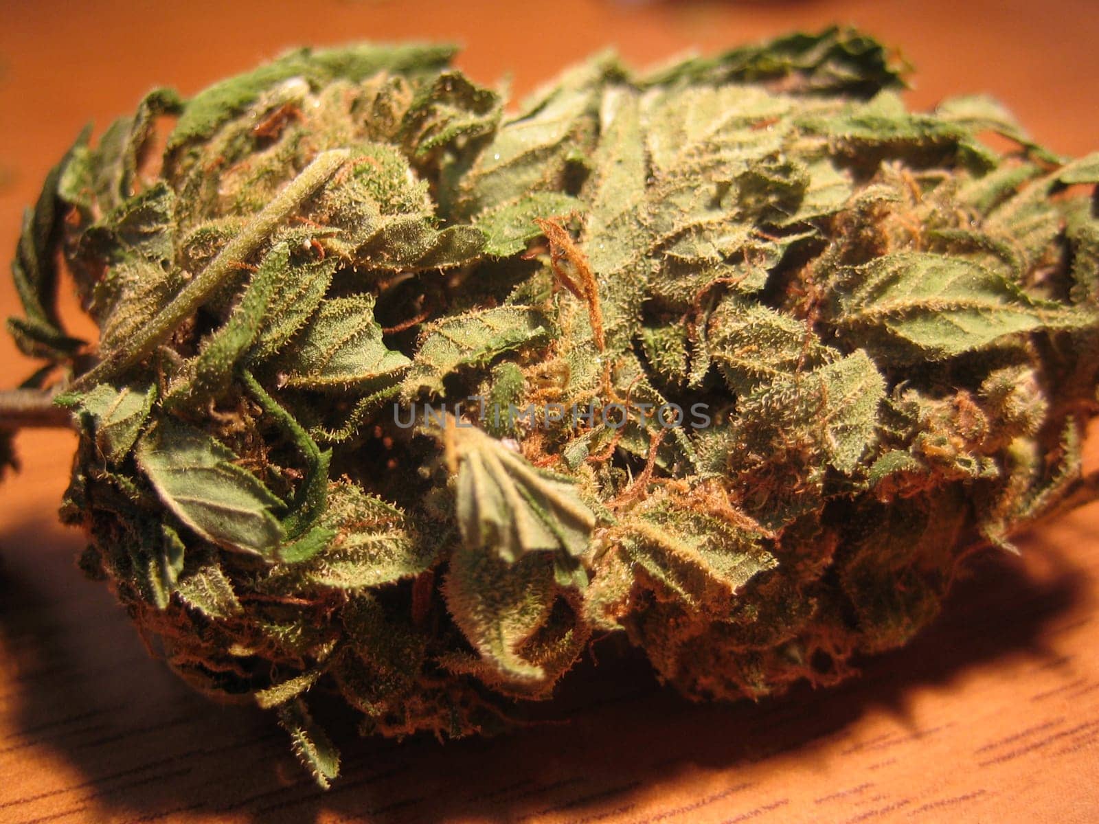 Cannabis retro in creta island hippie super lemon haze vintage illegal background prints