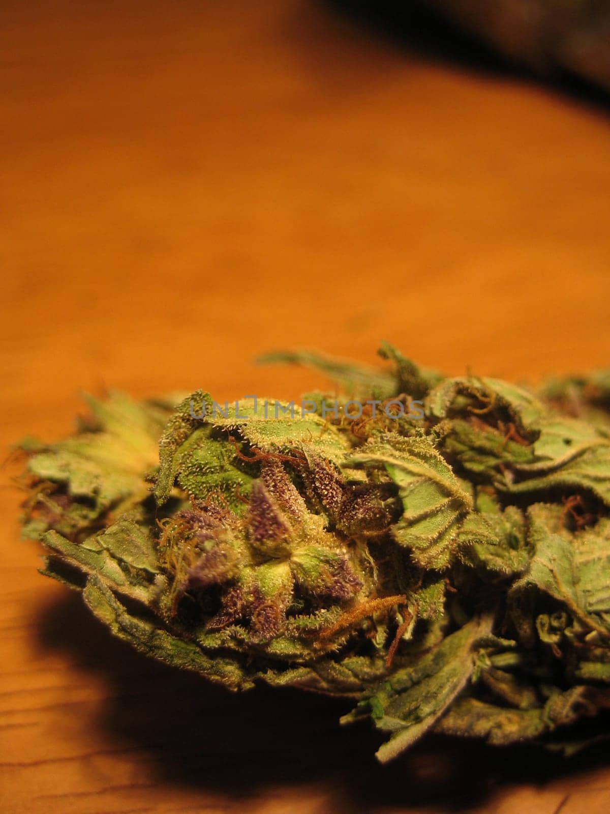 Cannabis retro in creta island hippie super lemon haze vintage illegal background prints
