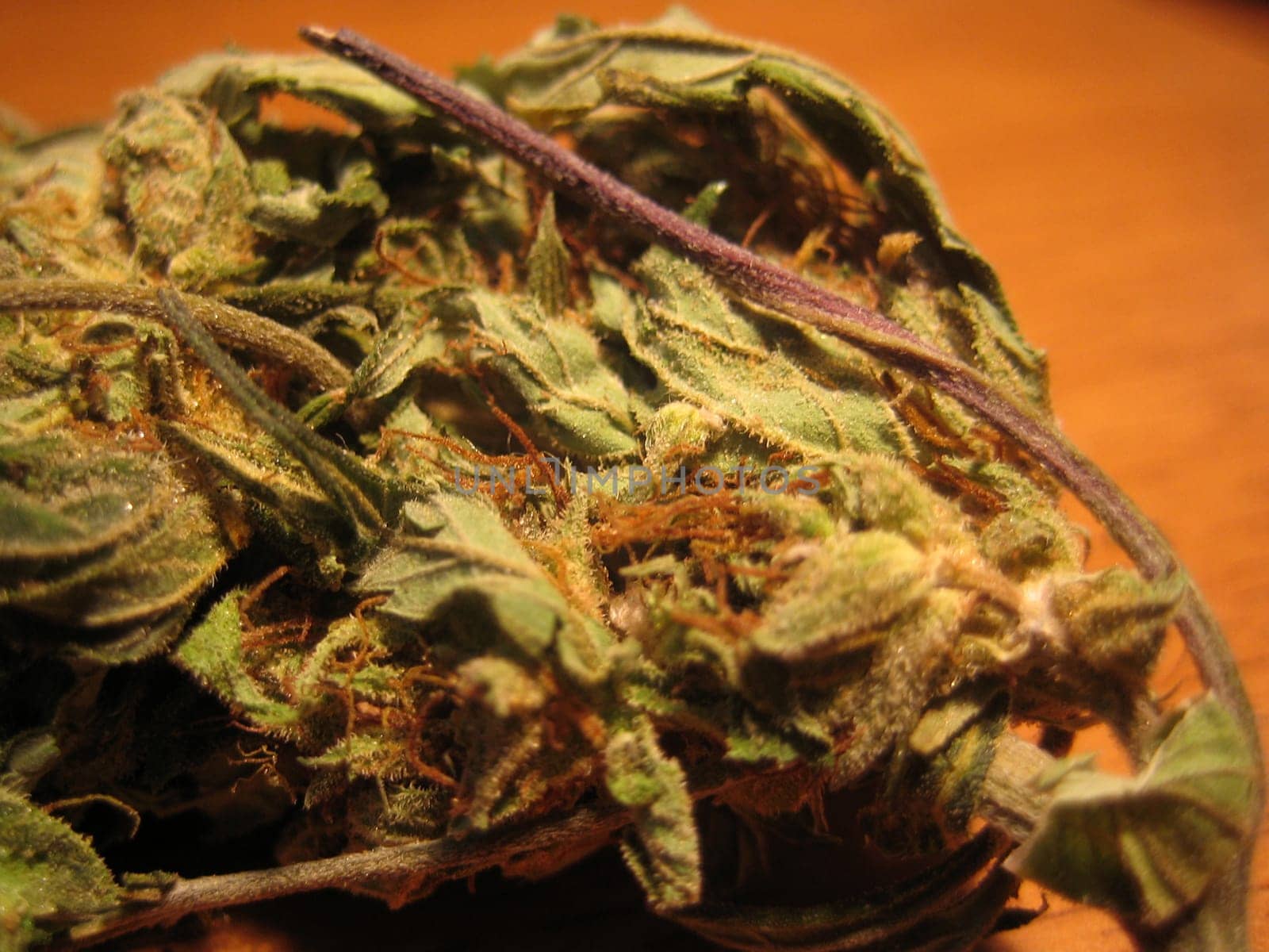 Cannabis retro in creta island hippie super lemon haze vintage illegal background prints