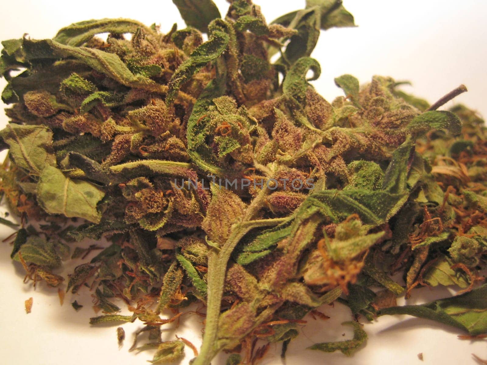 Cannabis medical marihuana creta greece retro background matala 2006 vintage shoot