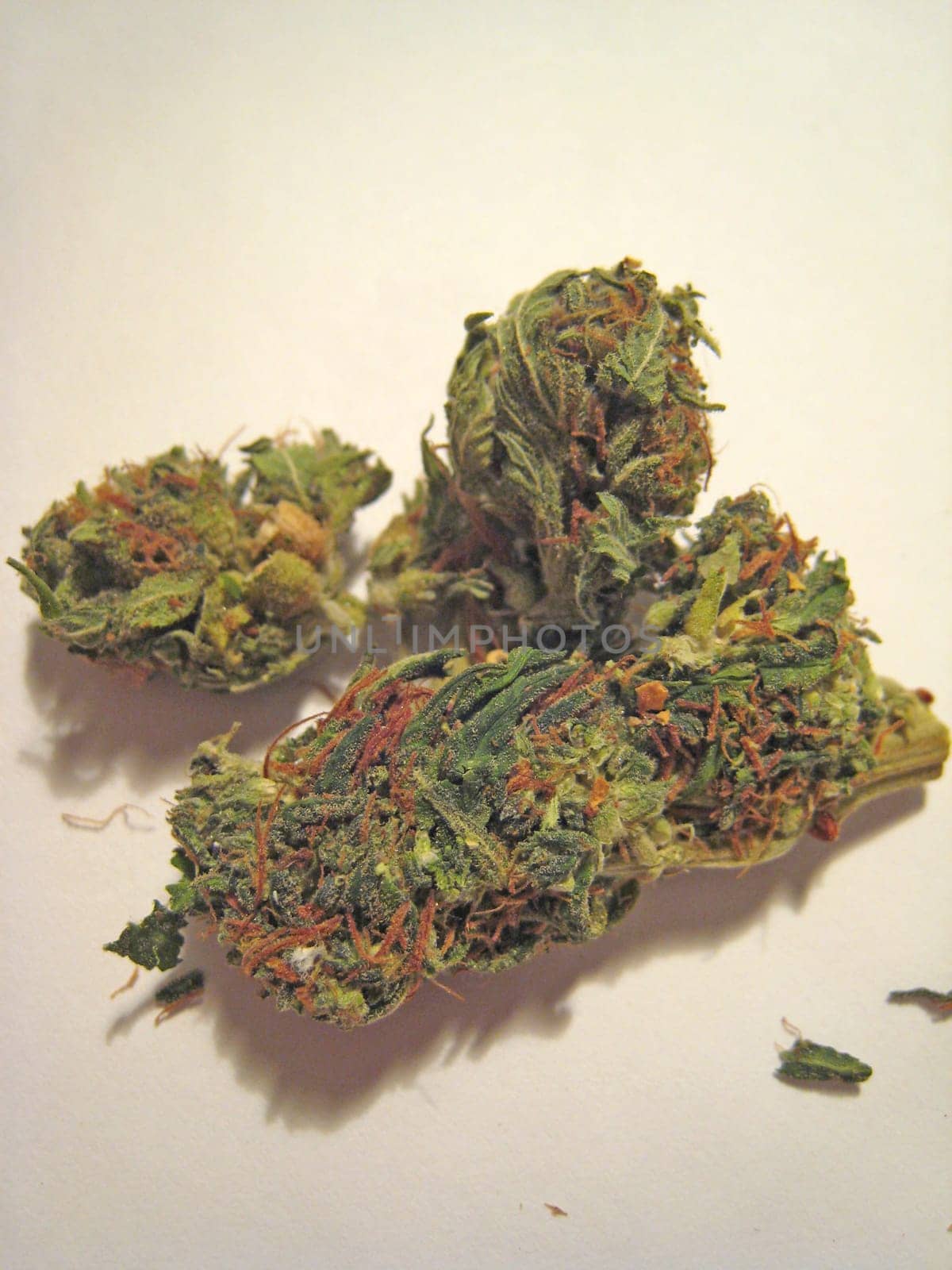 Cannabis retro in creta island hippie super lemon haze vintage illegal background prints