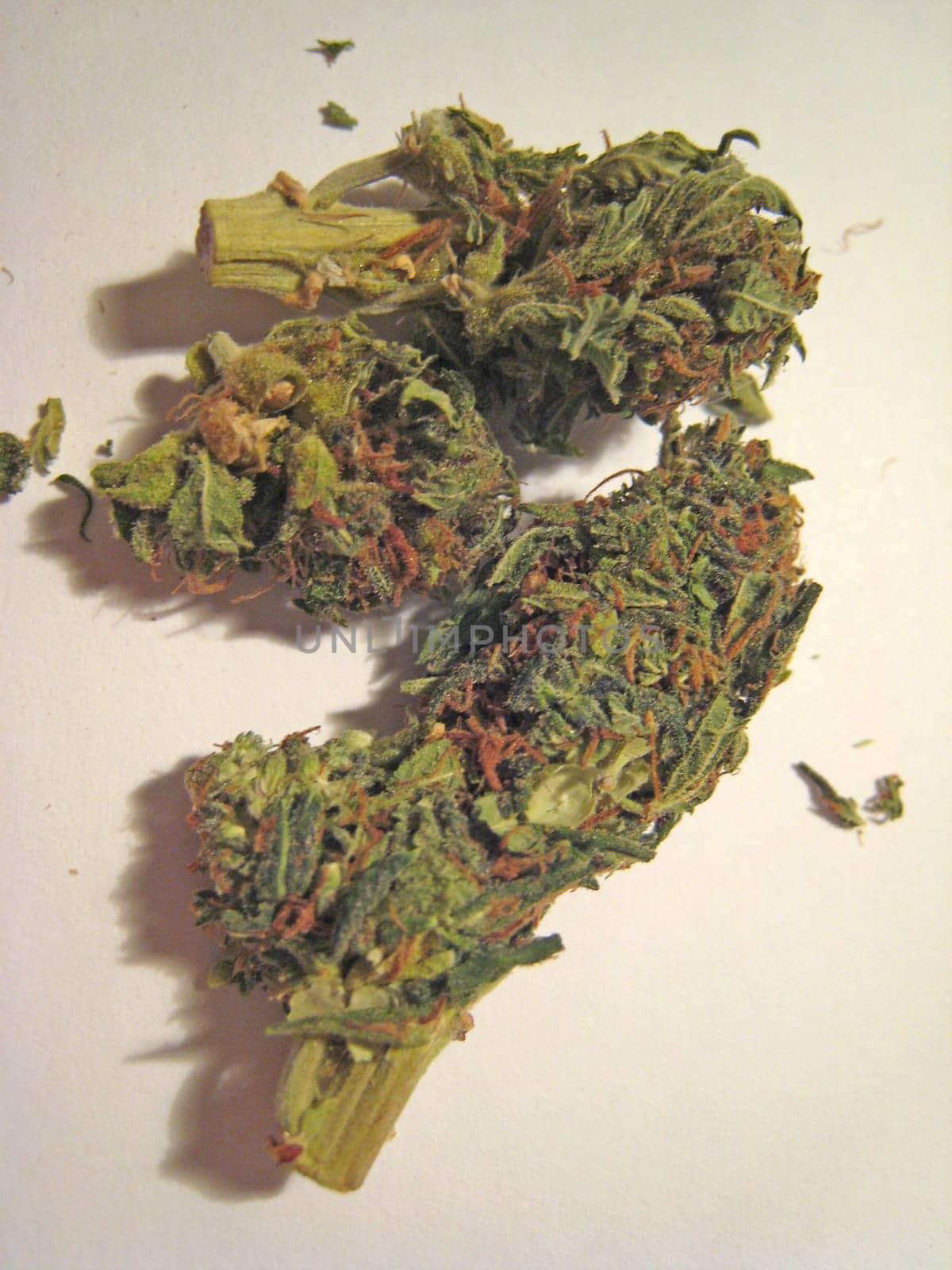 Cannabis retro in creta island hippie super lemon haze vintage illegal background prints