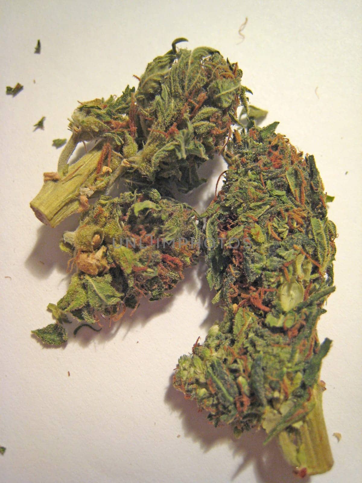 Cannabis retro in creta island hippie super lemon haze vintage illegal background prints