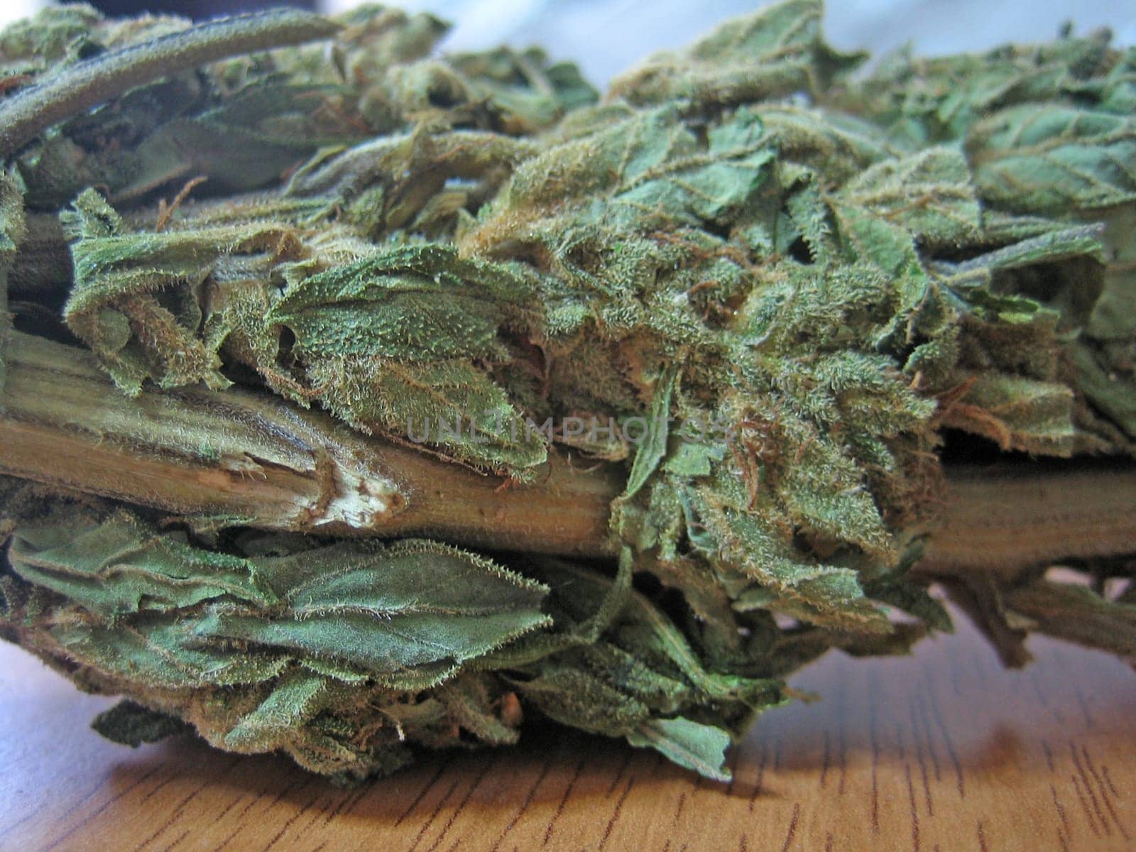 Cannabis retro in creta island hippie super lemon haze vintage illegal background prints