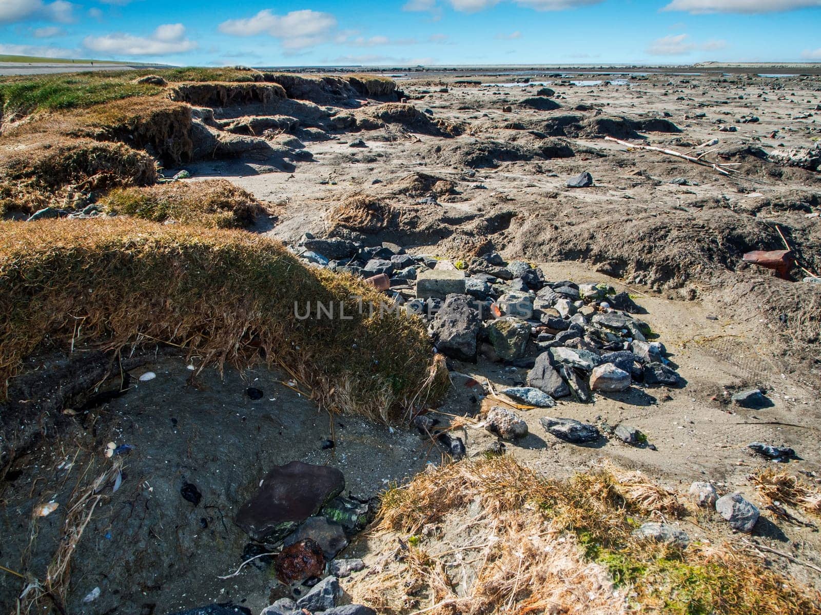 Wide angle landscape view of the North Sea beach at the edge of the salt marshes at low tide and blue sky with white clouds.