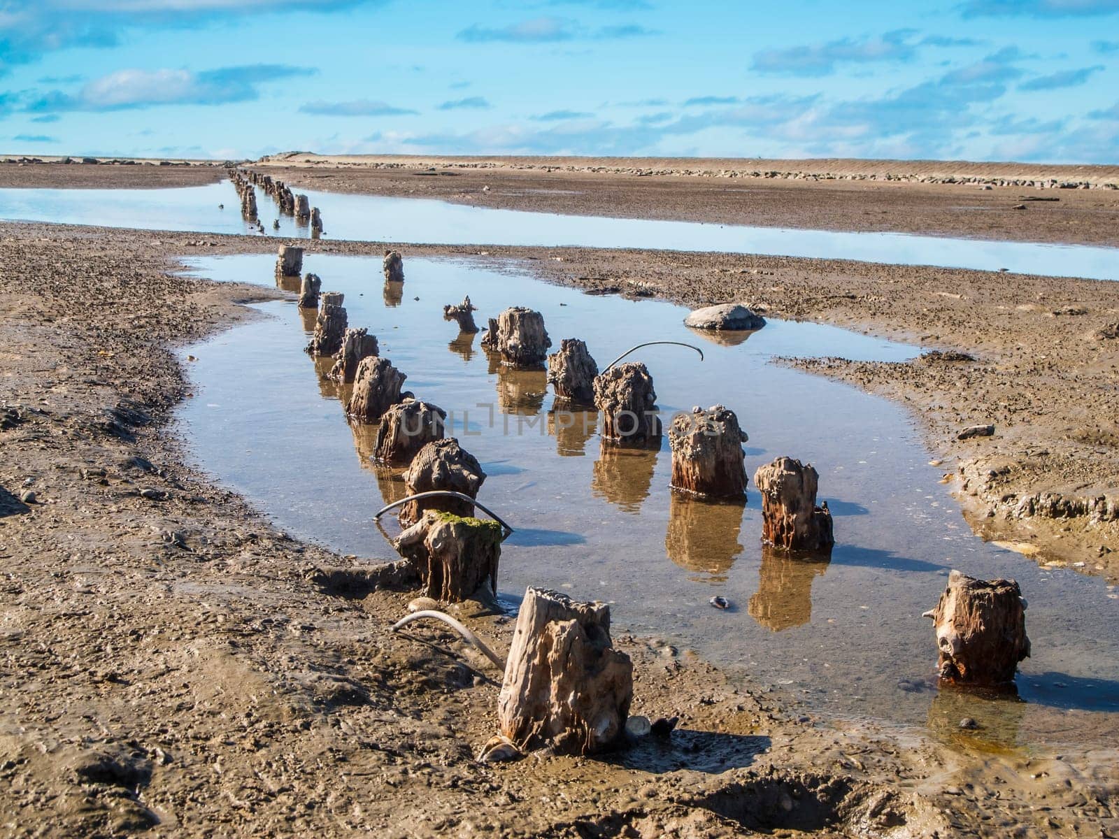 View of the weathered groyne poles on the German North Sea beach in East Friesland at low tide and overcast skies.