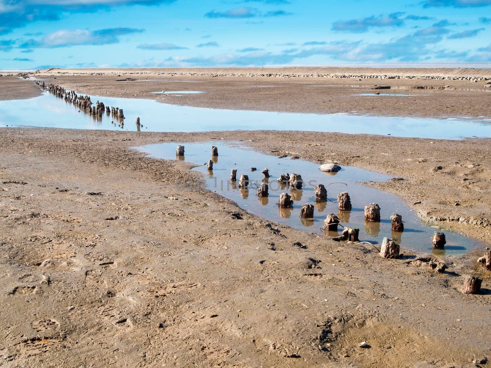 View of the weathered groyne poles on the German North Sea beach in East Friesland at low tide and overcast skies.