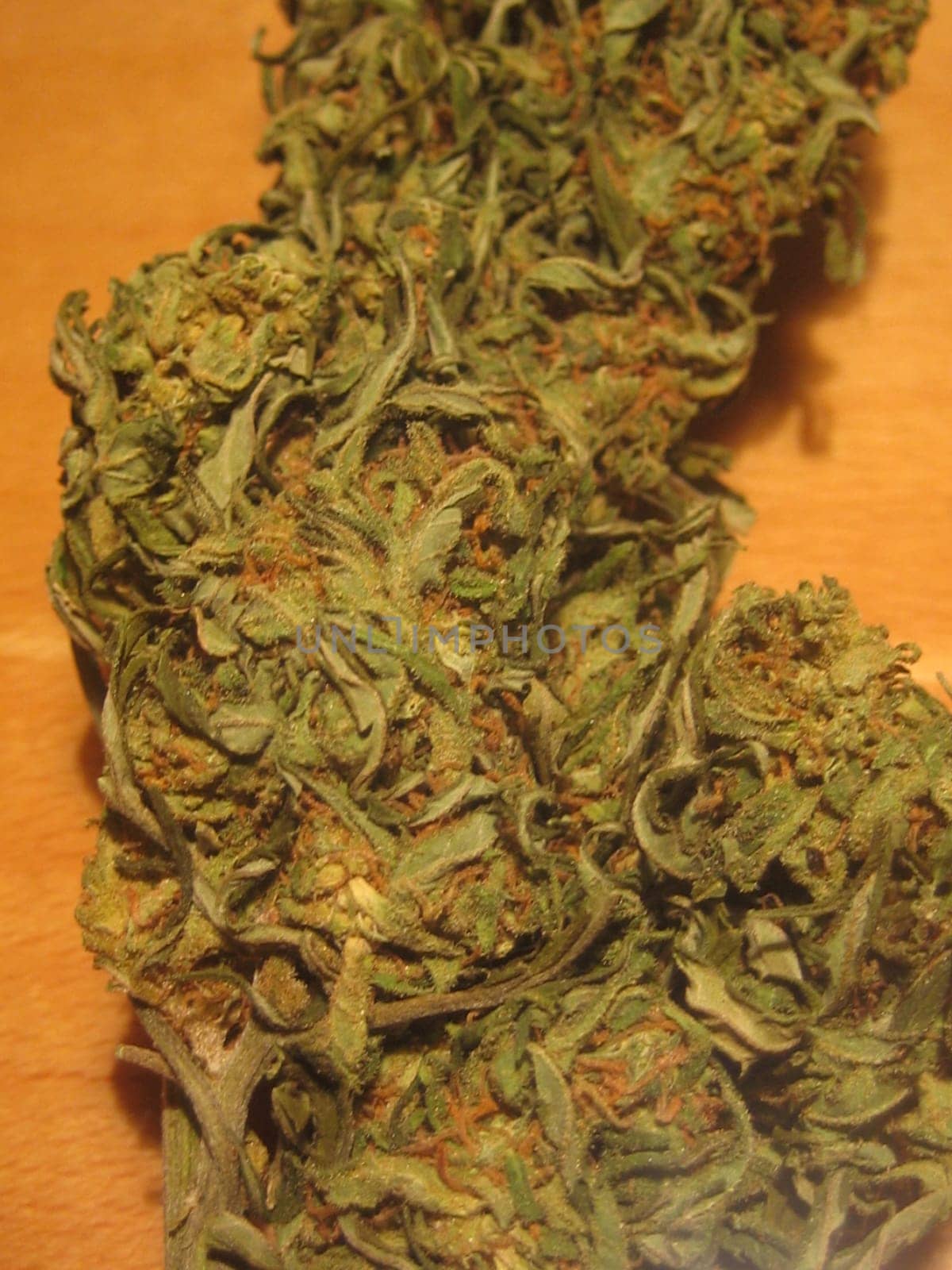 Cannabis medical marihuana creta greece retro background matala 2006 vintage shoot