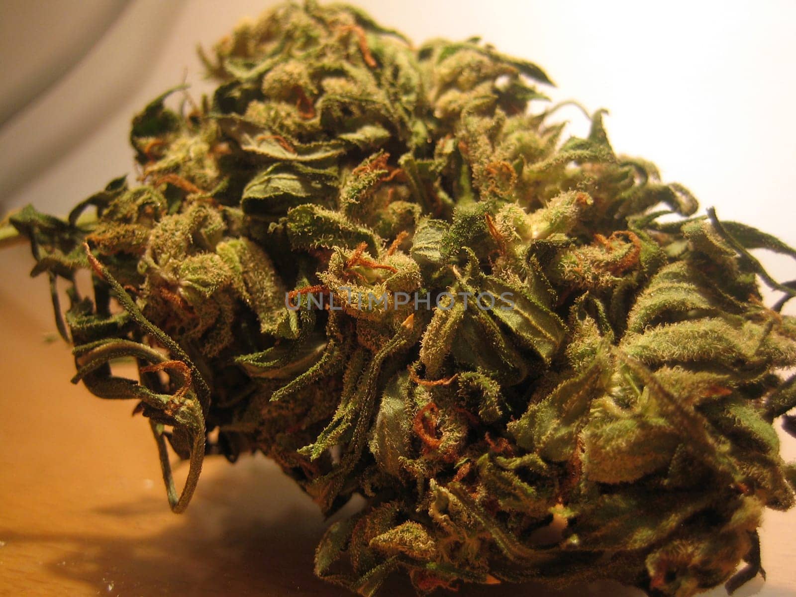 Cannabis medical marihuana creta greece retro background matala 2006 vintage shoot