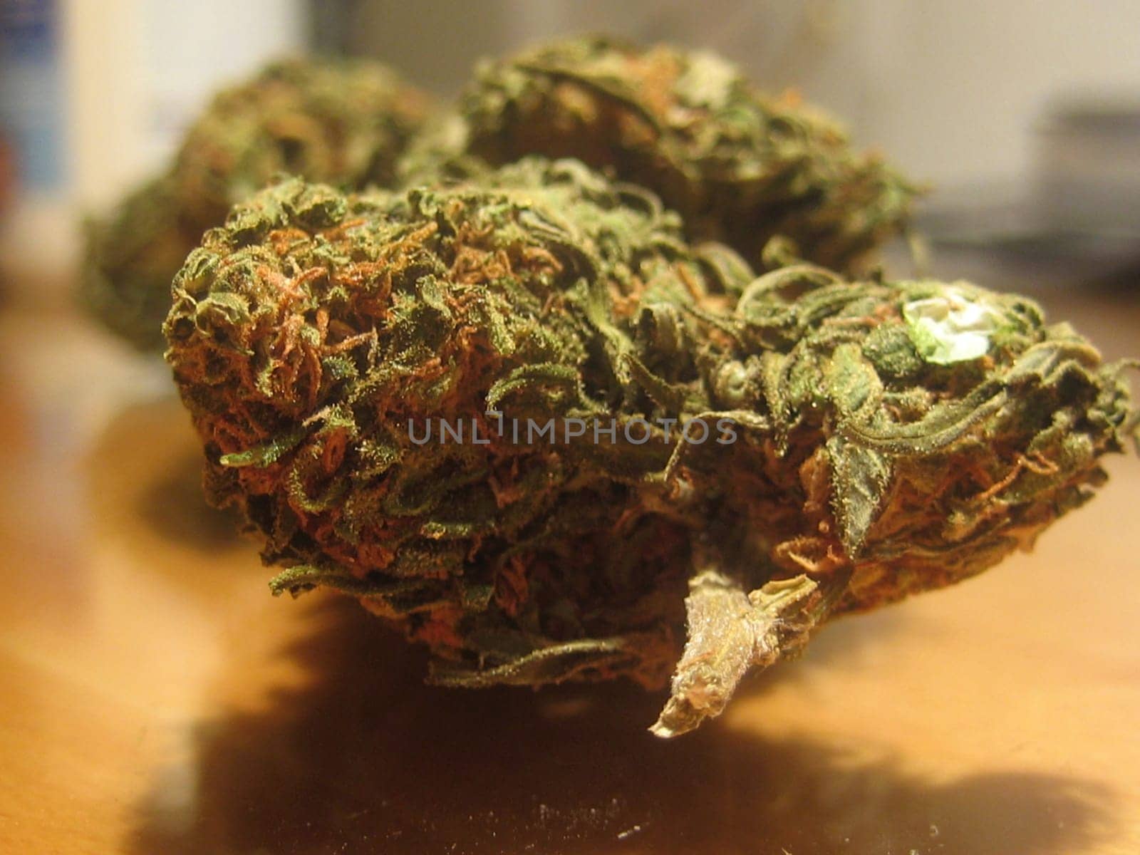 Cannabis medical marihuana creta greece retro background matala 2006 vintage shoot