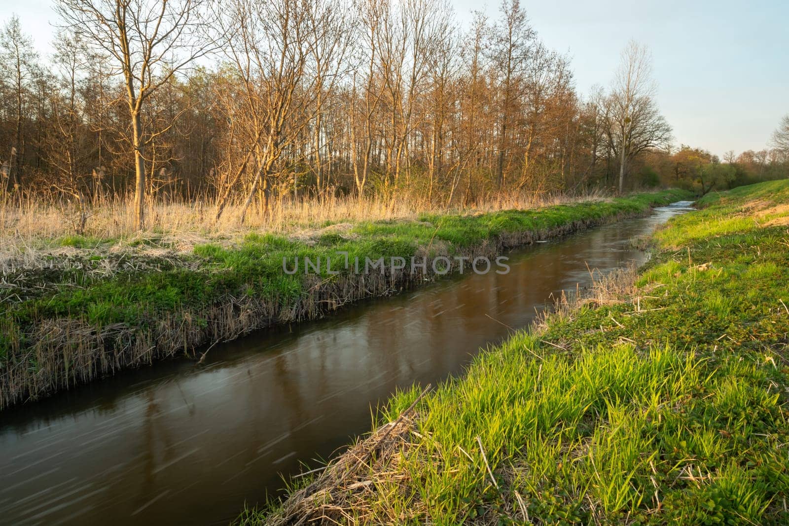 The Uherka river current in eastern Poland, Stankow