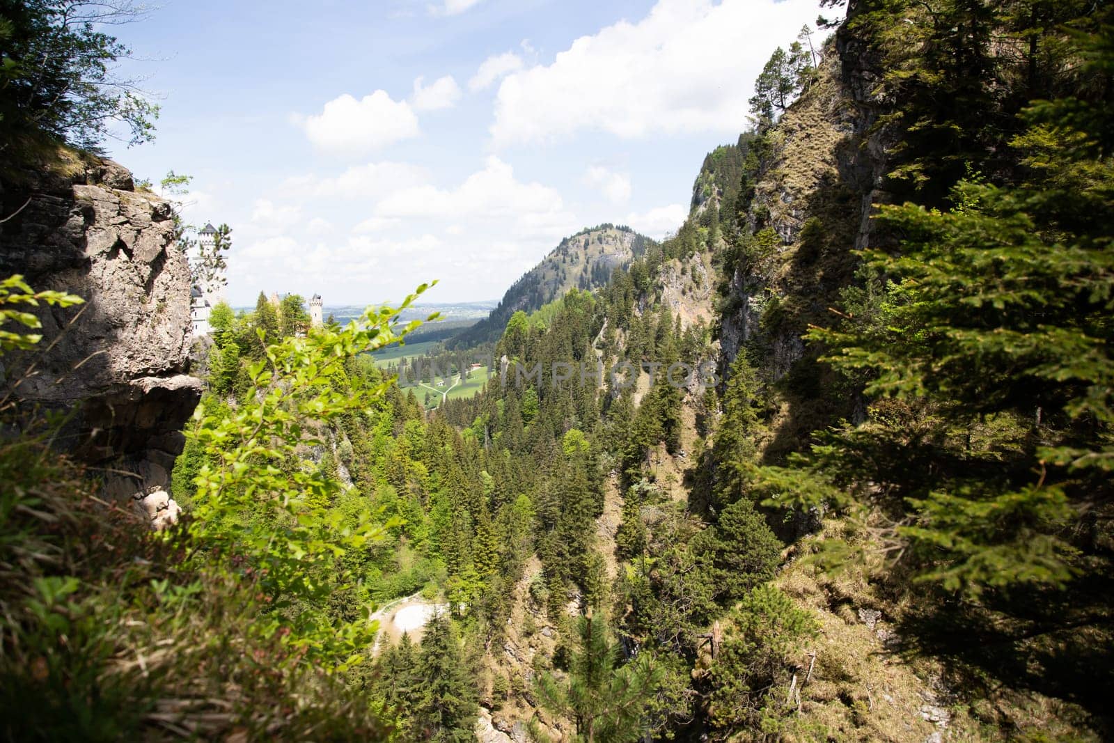 Picturesque spring landscape with the Neuschwanstein Castle, Germany