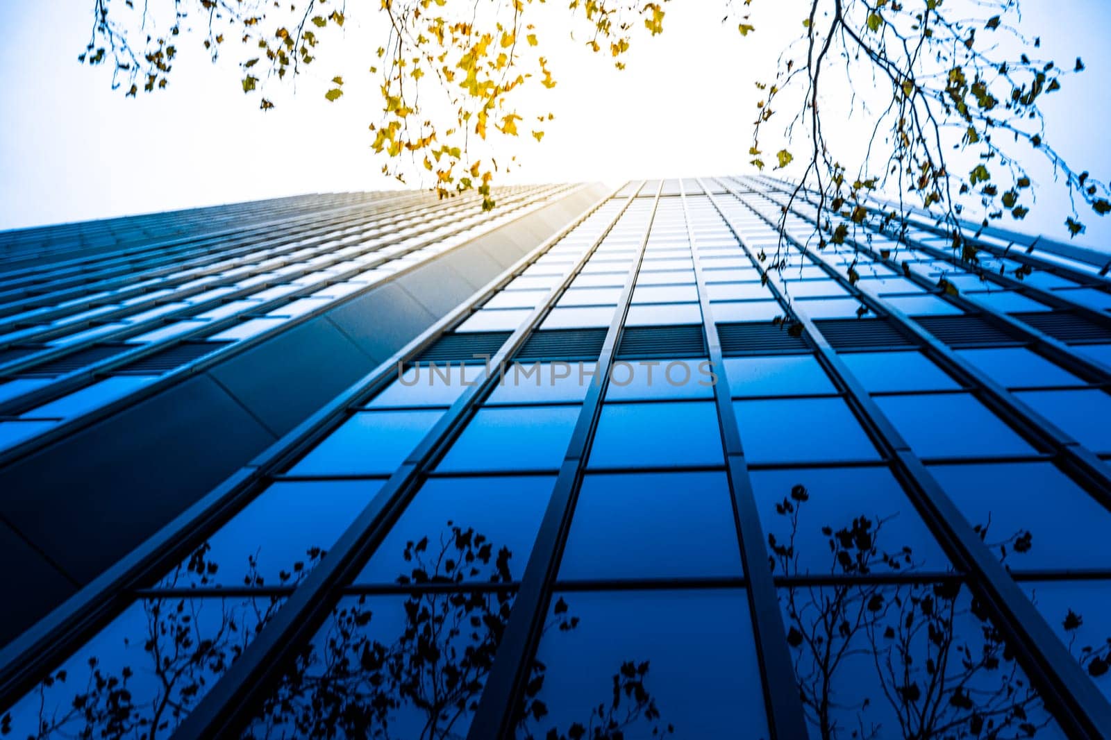Modern business skyscrapers, high-rise buildings