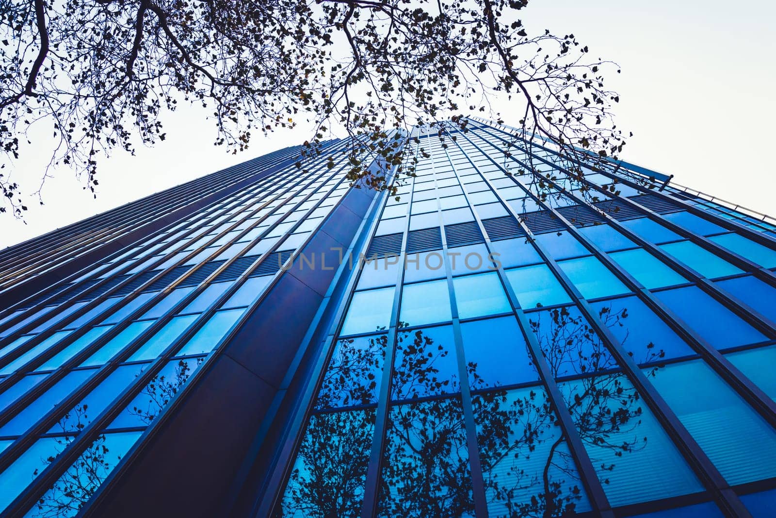 Exterior of building. Modern skyscrapers in business district