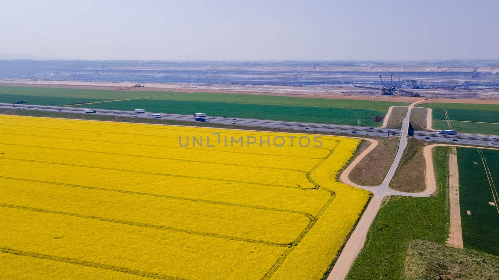 aerial view of rapeseed flower blooming in farmland