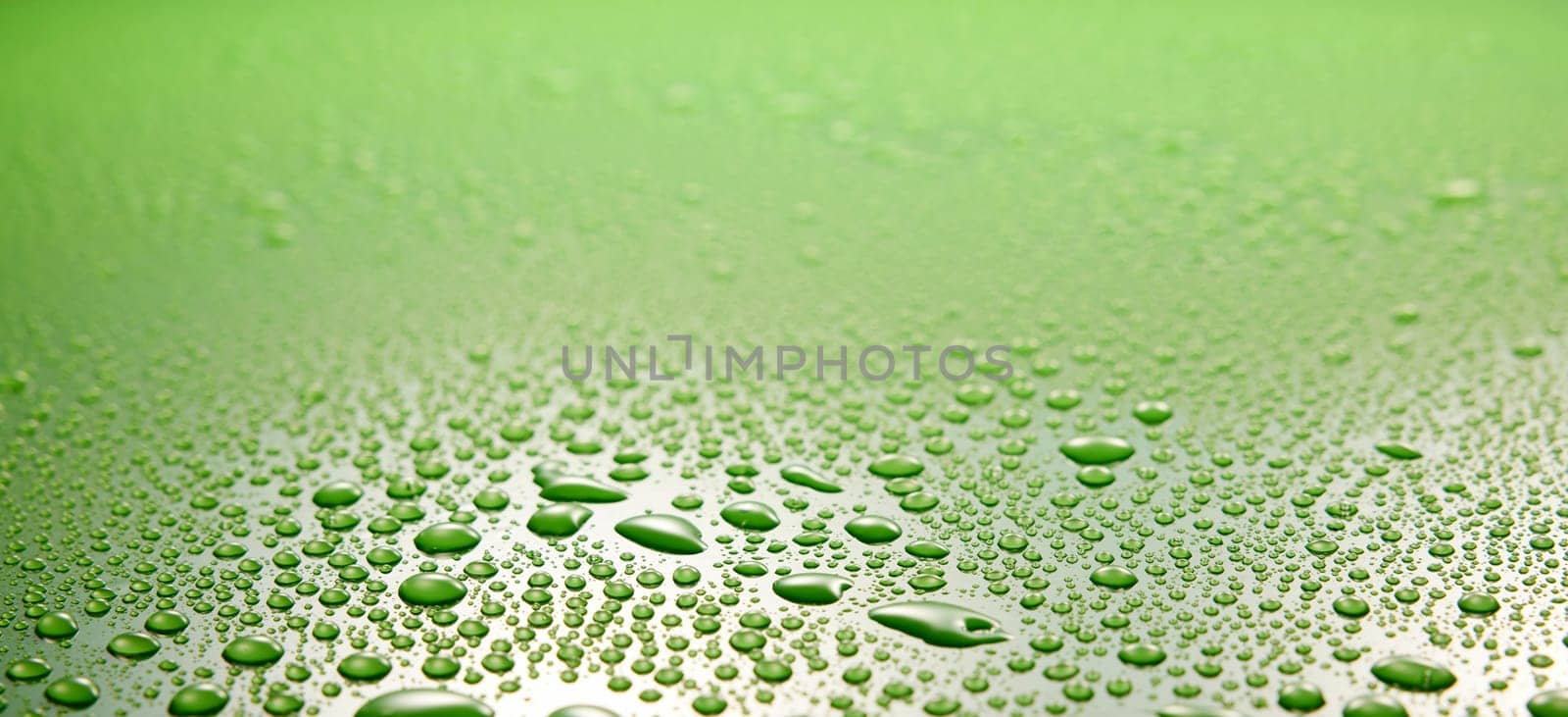 Panoramic view full frame of abstract clean green background covered with clear transparent small drops of water in light room