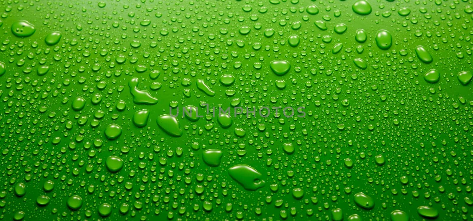 Panoramic view of wet abstract green background covered with small round drops of water with different shapes in light room