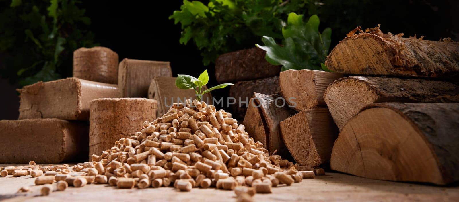 Young plant on heap of wood fuel pellets scattered on floor near chopped woodpile of different types and peat briquettes in sunlight