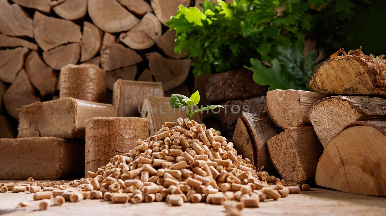 Ground level of green leaf on pyramid of pellets placed near stack of chopped firewood of various types and biomass briquettes in daylight