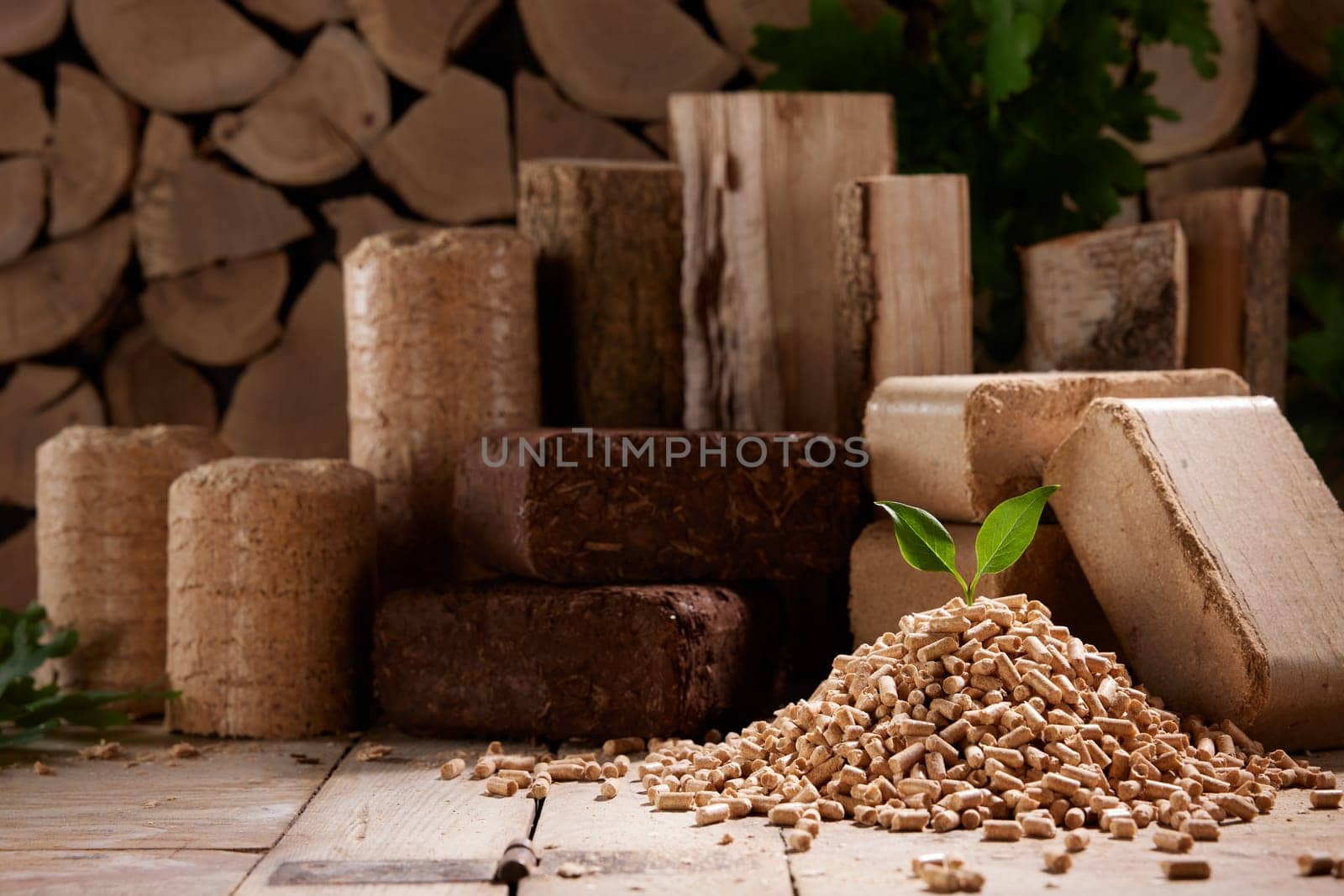 Green leaf on pile of wood pellets against stack of biomass briquettes and firewood in sunlight