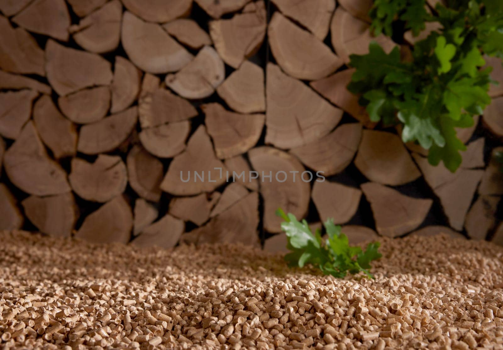 Green oak leaves on heap of fuel pellets scattered near stack of chopped woodpile in sunlight